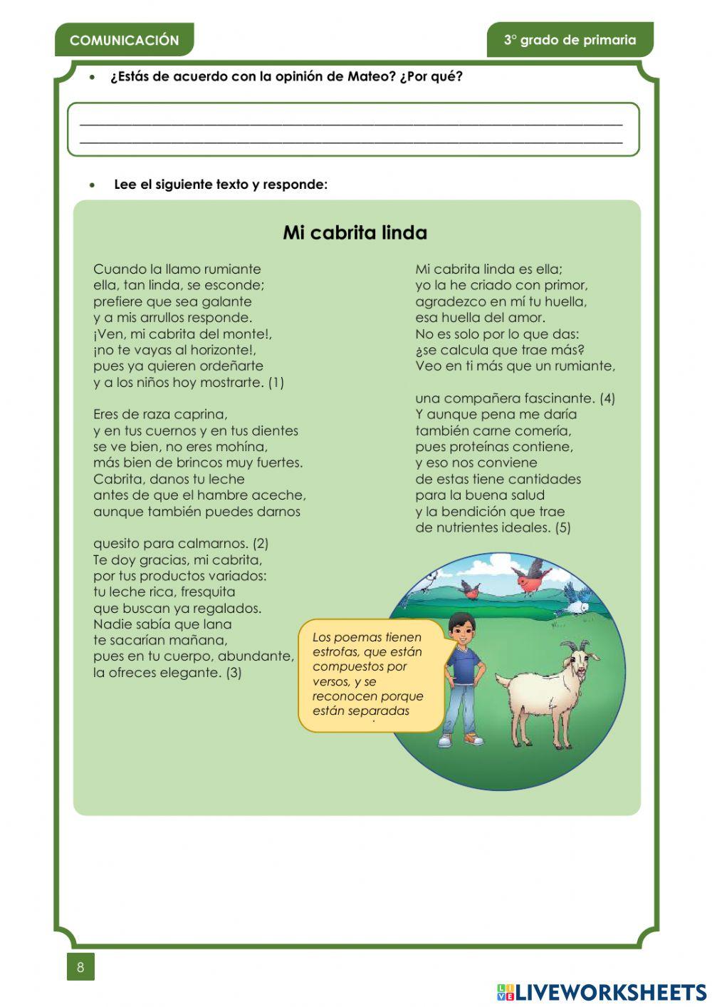 Examen de fin año Comunicación 3°