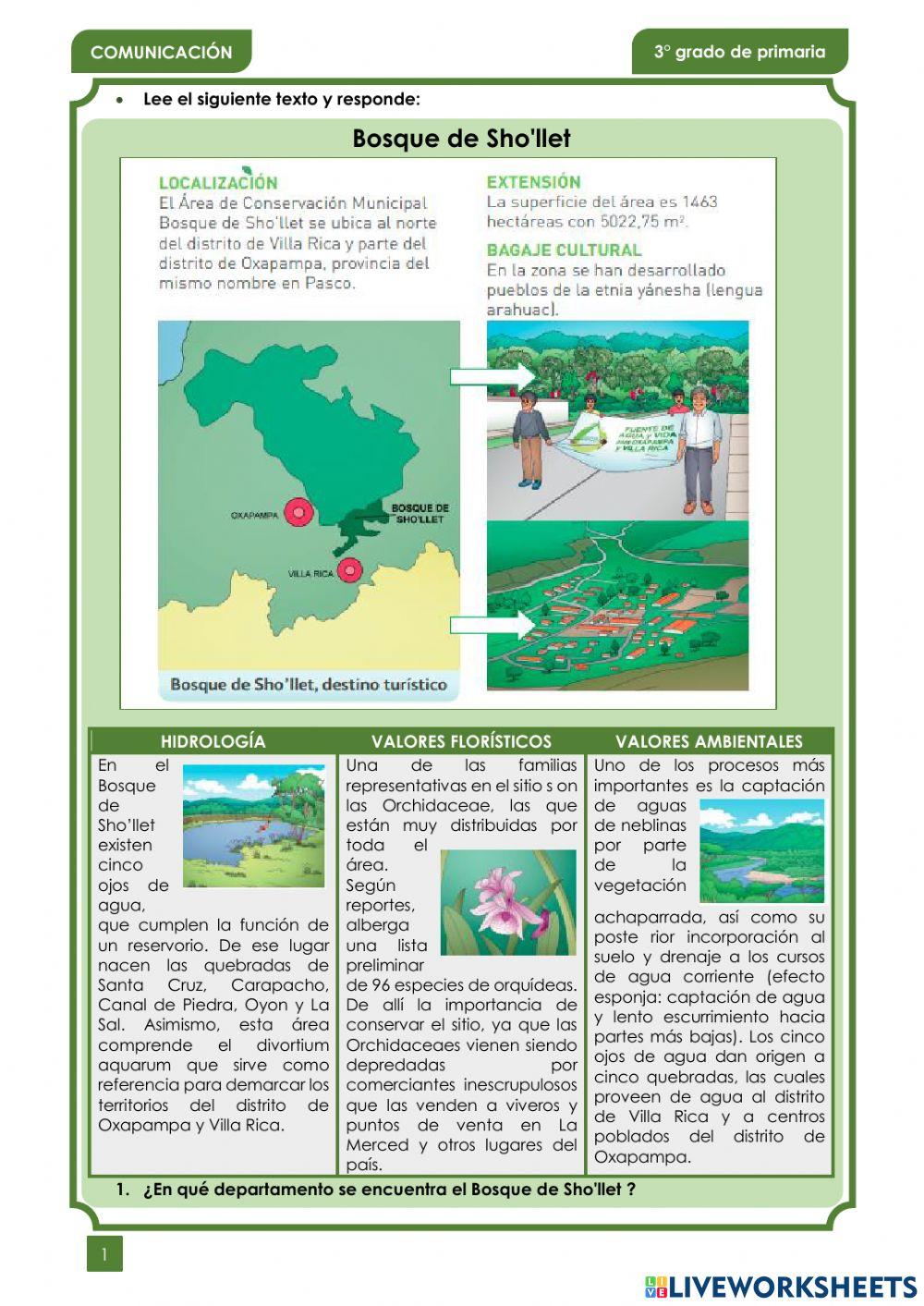 Comprensión Lectora 2