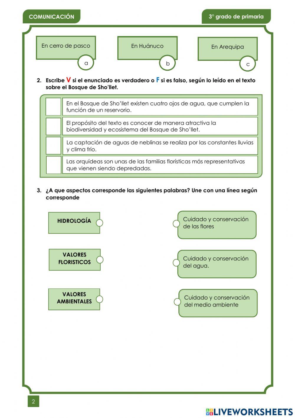 Comprensión Lectora 2