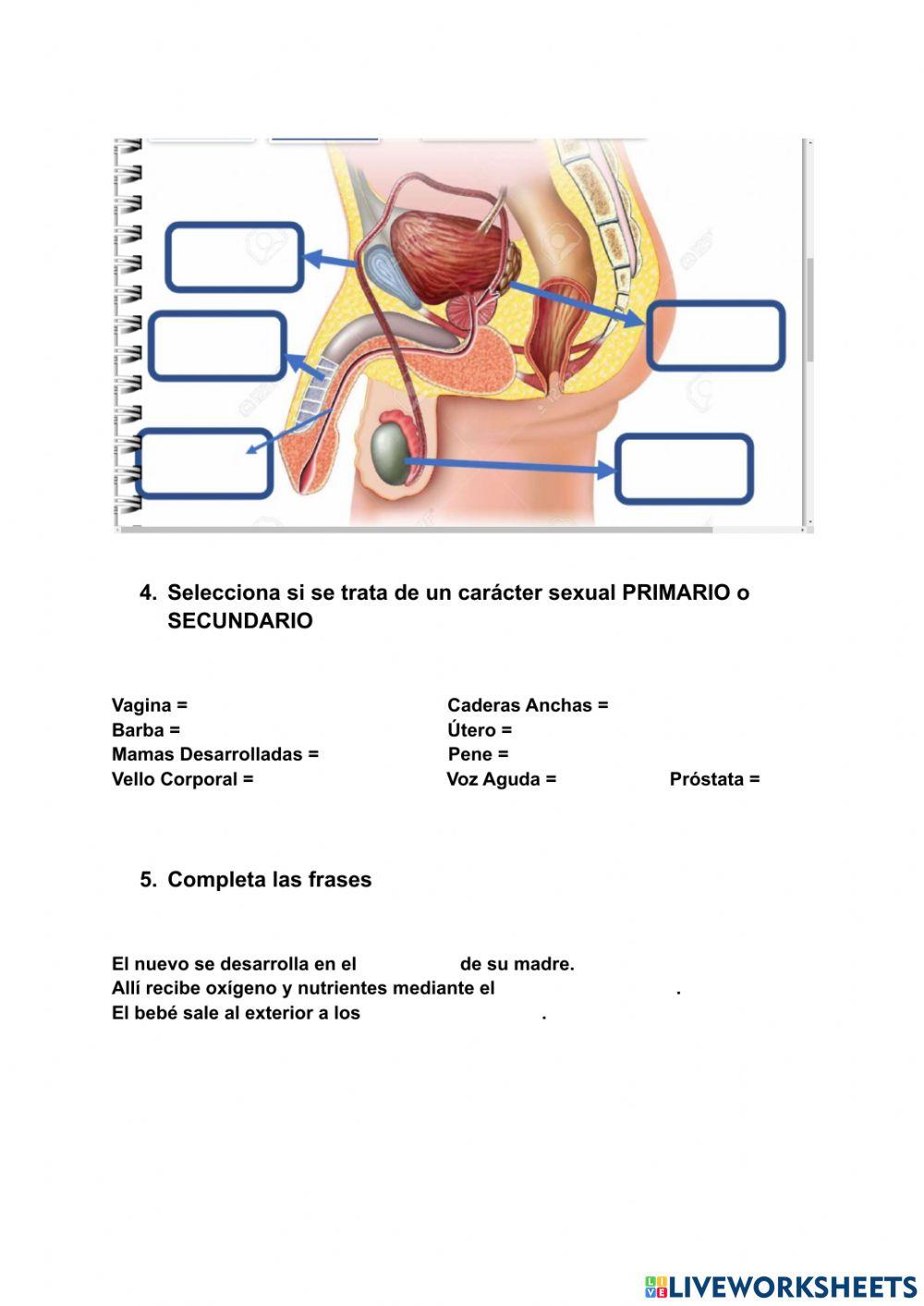 La Reproducción Control