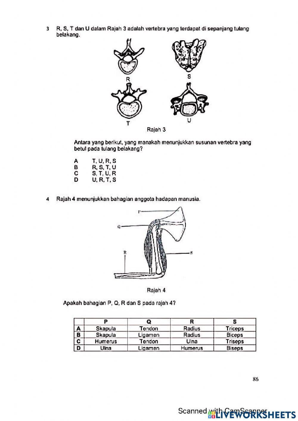 Modul Hebat Edisi 2021 Tingkatan 4 Bab 14