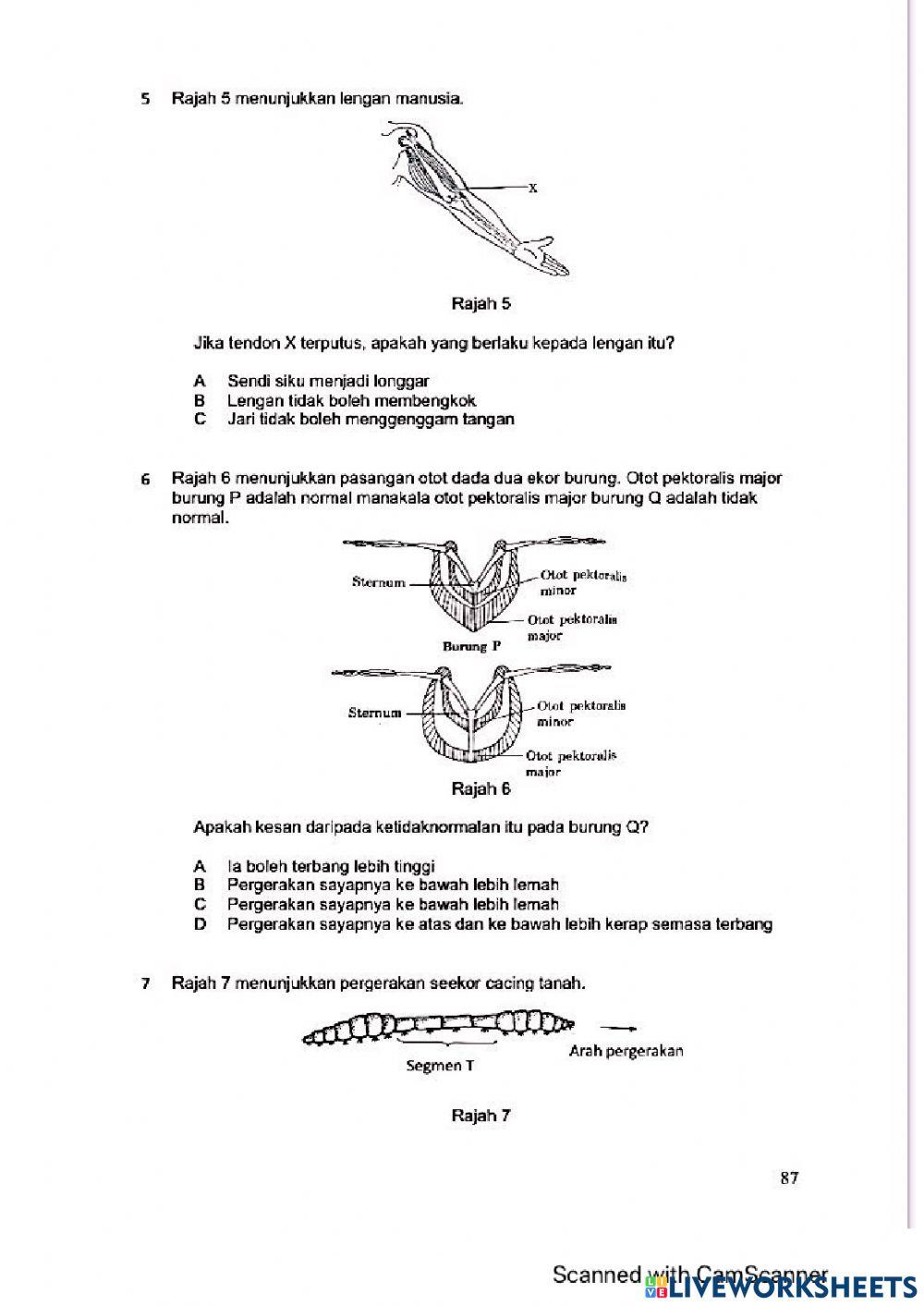 Modul Hebat Edisi 2021 Tingkatan 4 Bab 14