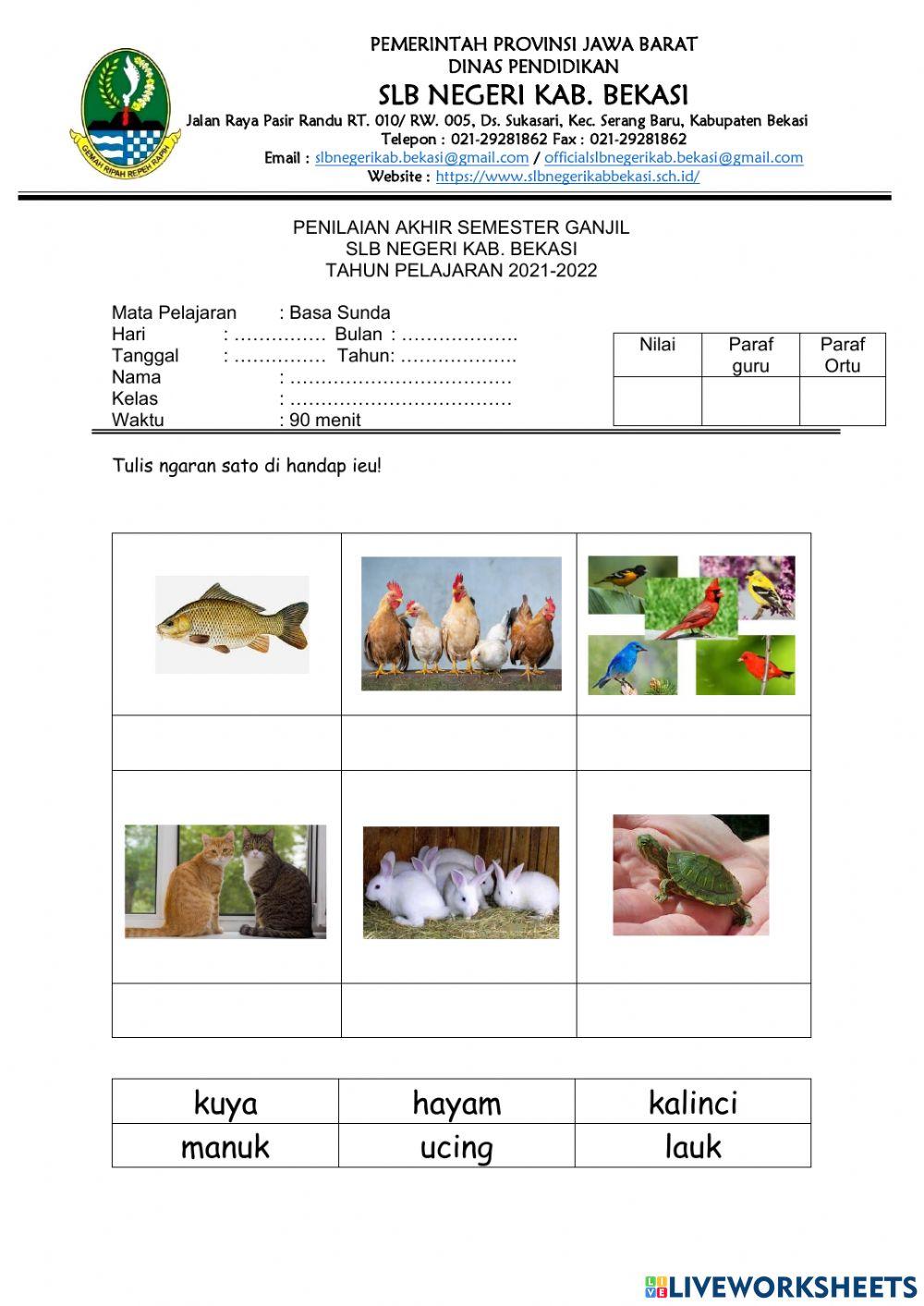 Pas mtk sunda progsus