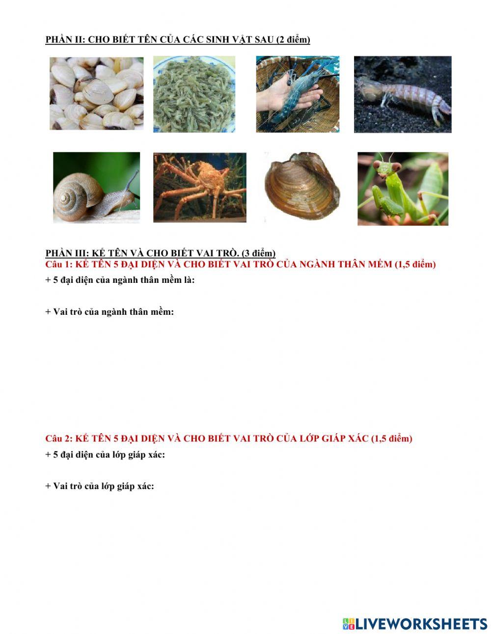 Kiểm tra học kì 1 Sinh 7