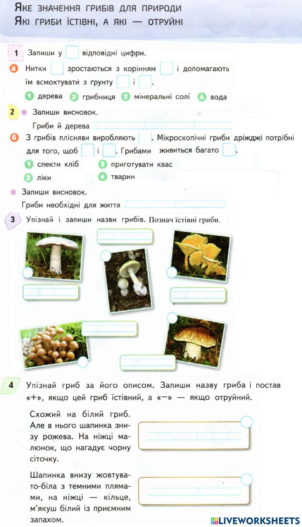 Значення грибів. Отруйні і їстівні гриби.