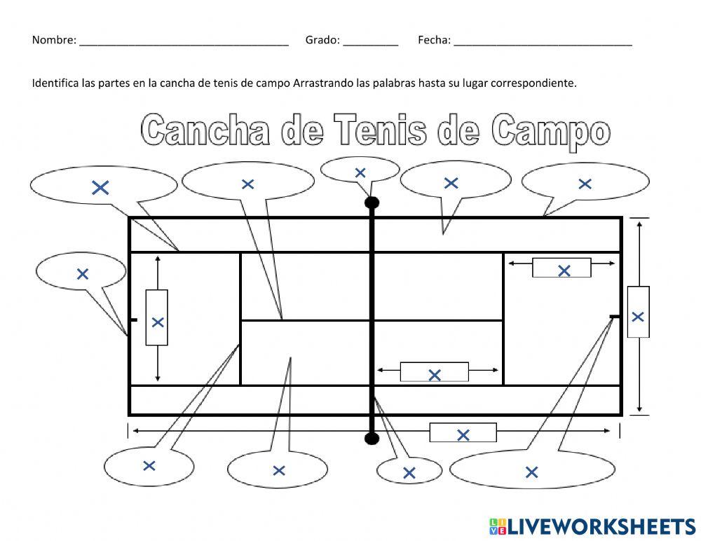 Identifica las areas de la cancha de tenis de campo