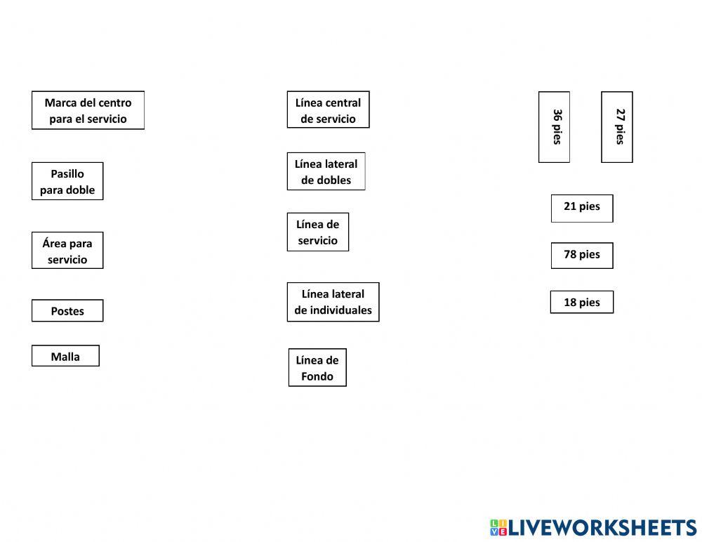 Identifica las areas de la cancha de tenis de campo