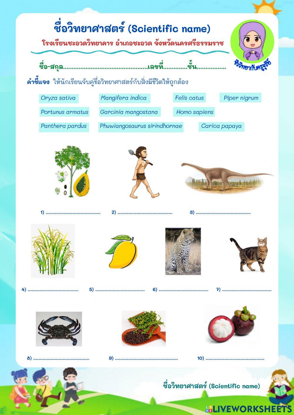 ชื่อวิทยาศาสตร์