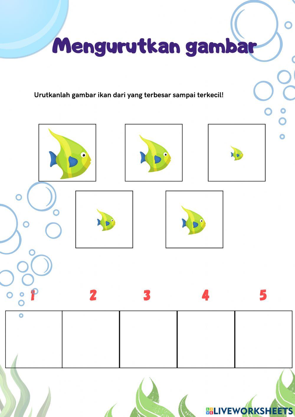Mengurutkan benda dari yang terbesar ke yang terkecil