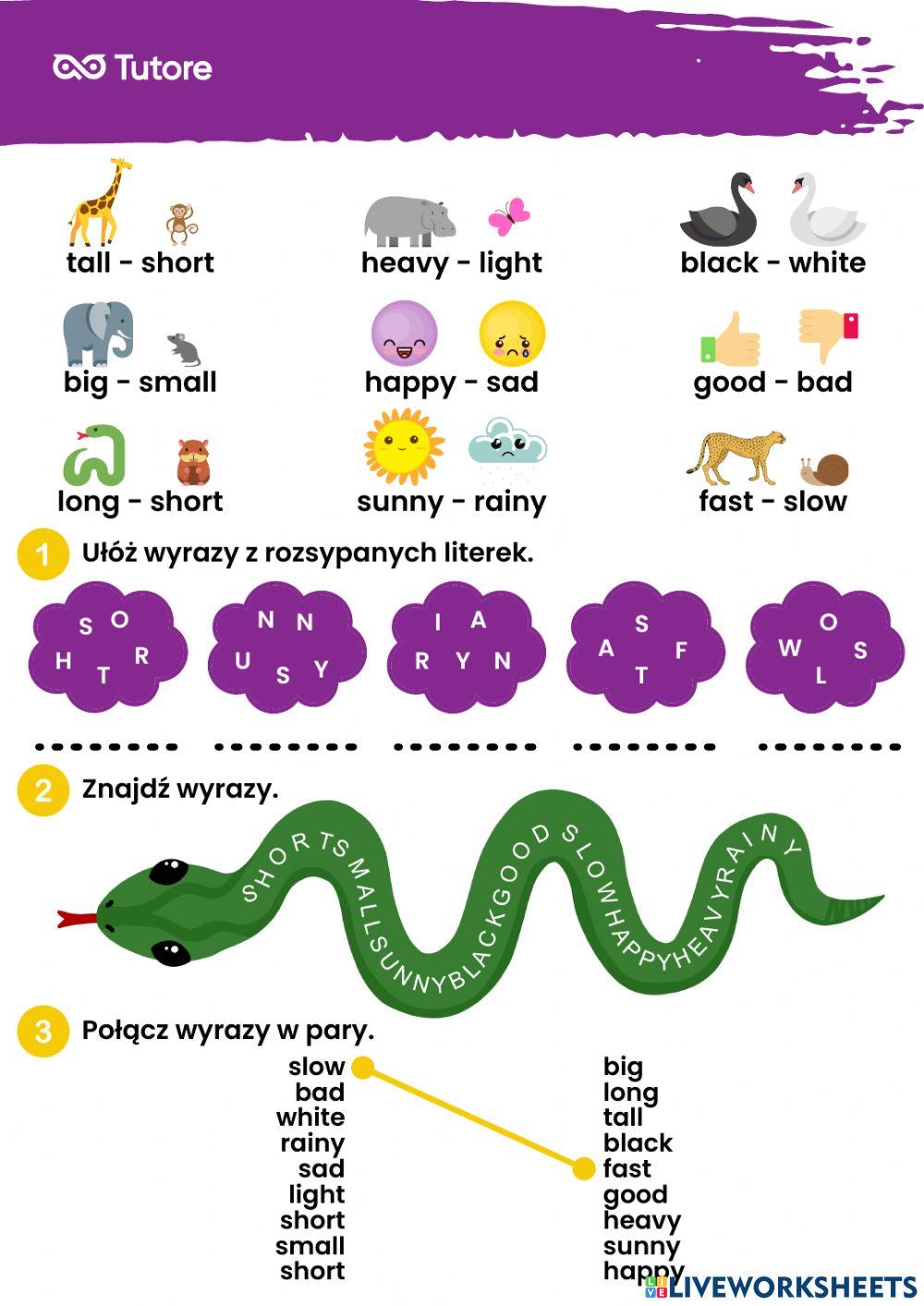 Adjectives with Tutore