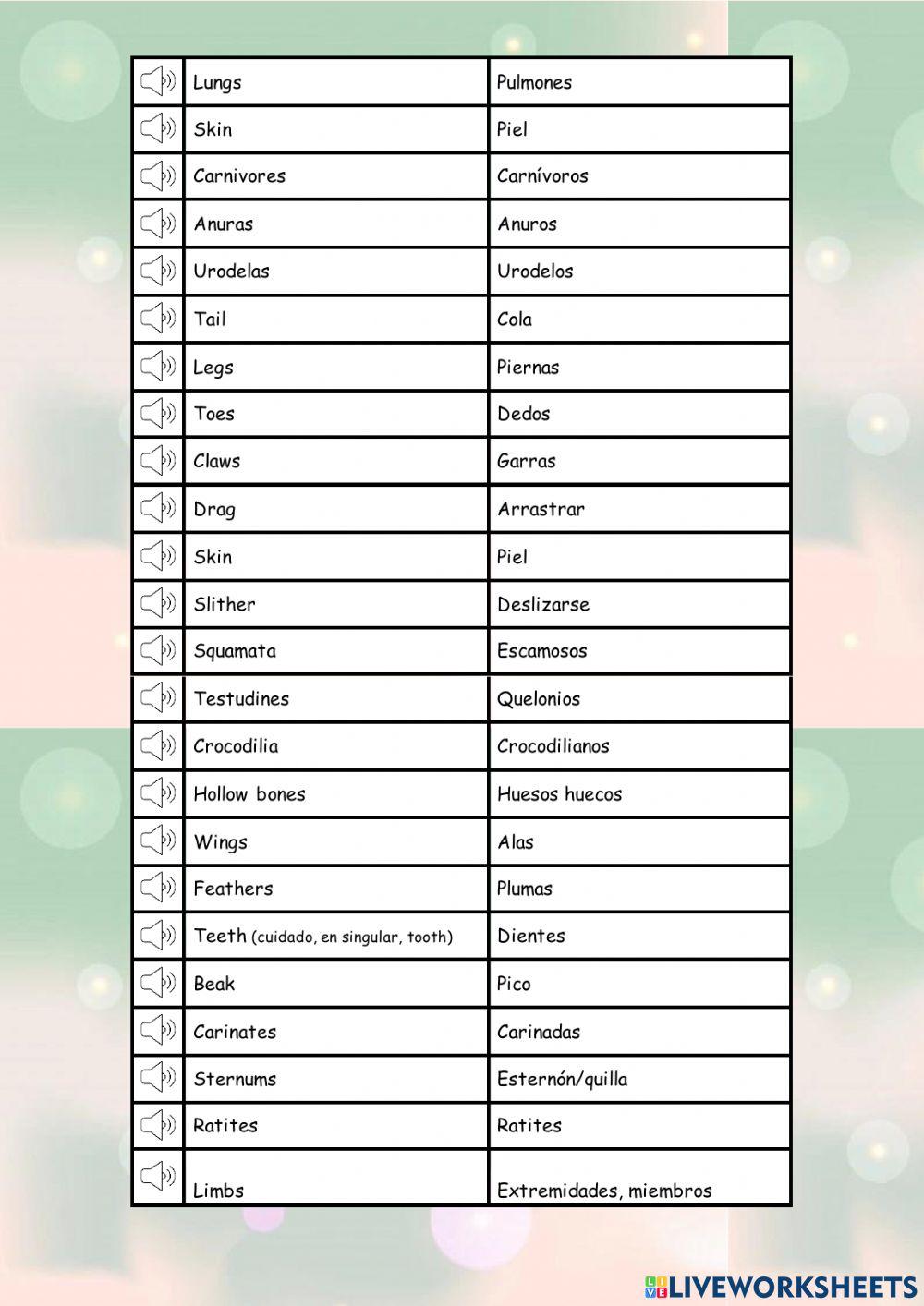 Vocabulario Vertebrates