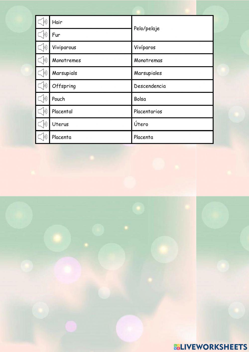 Vocabulario Vertebrates