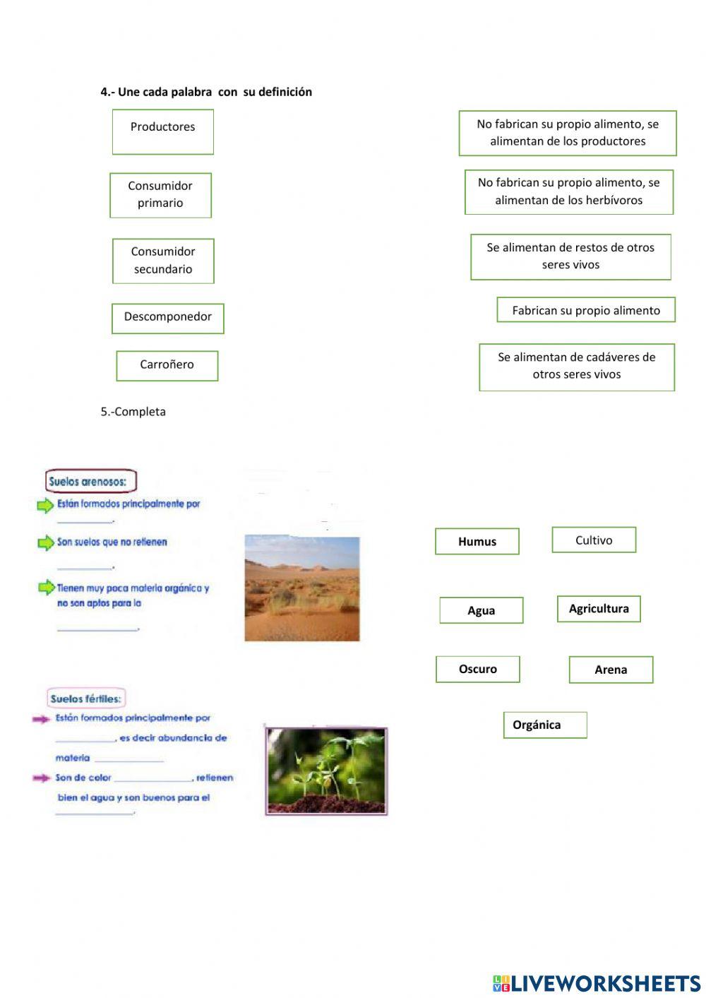 Examen bimestral de ciencia y ambiente 4to grado