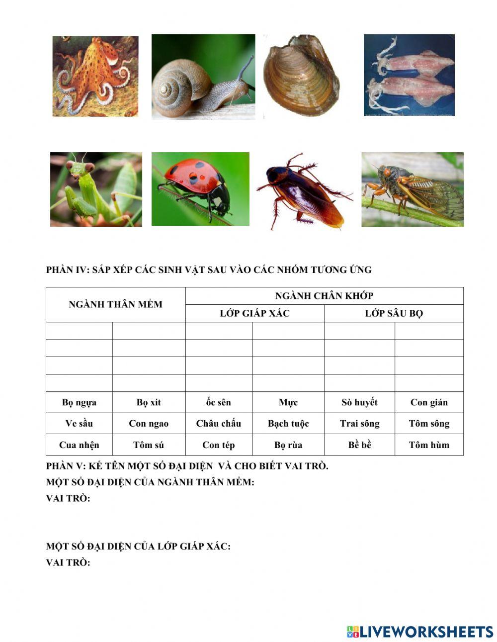 Đề cương ôn tập học kì 1-sinh 7