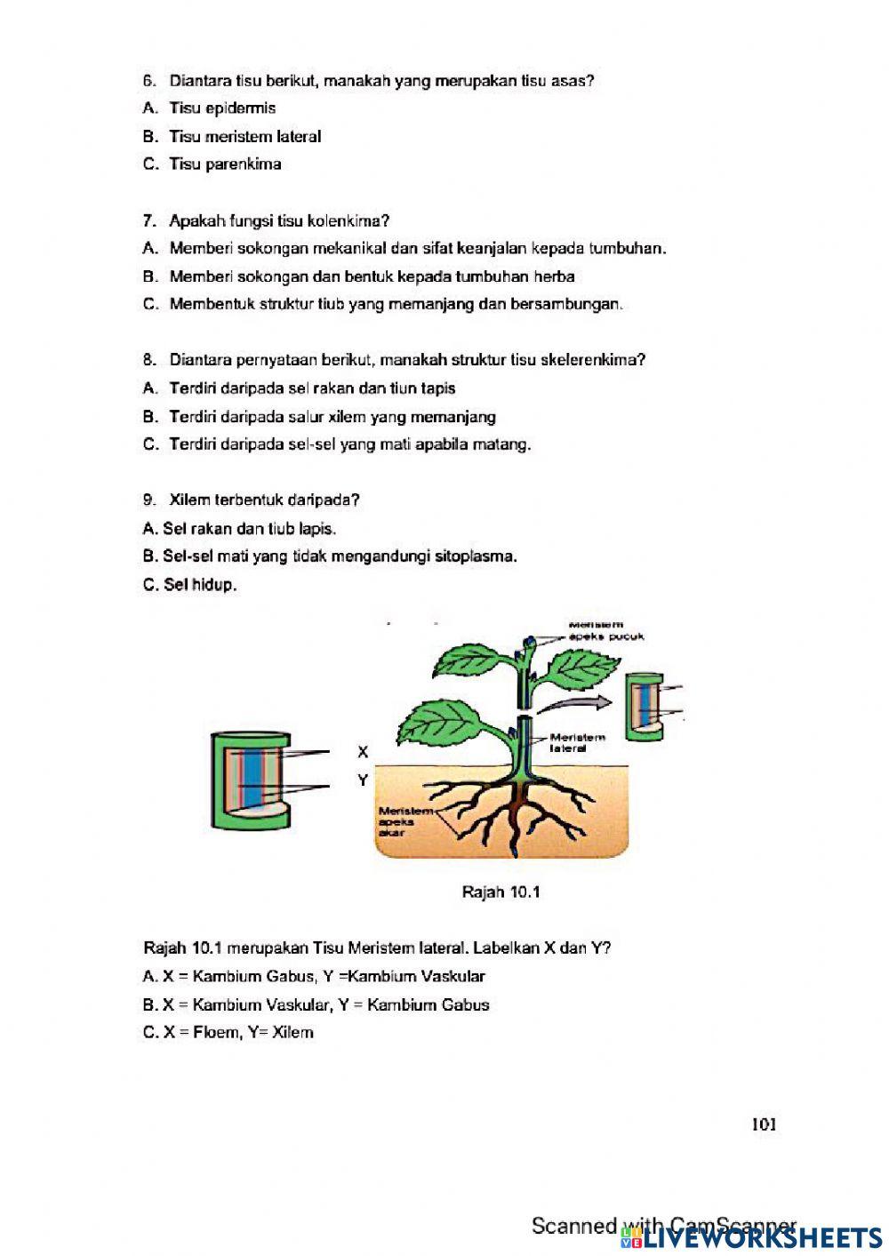 Modul Hebat Edisi 2021 Biologi Tingkatan 5 Bab 1