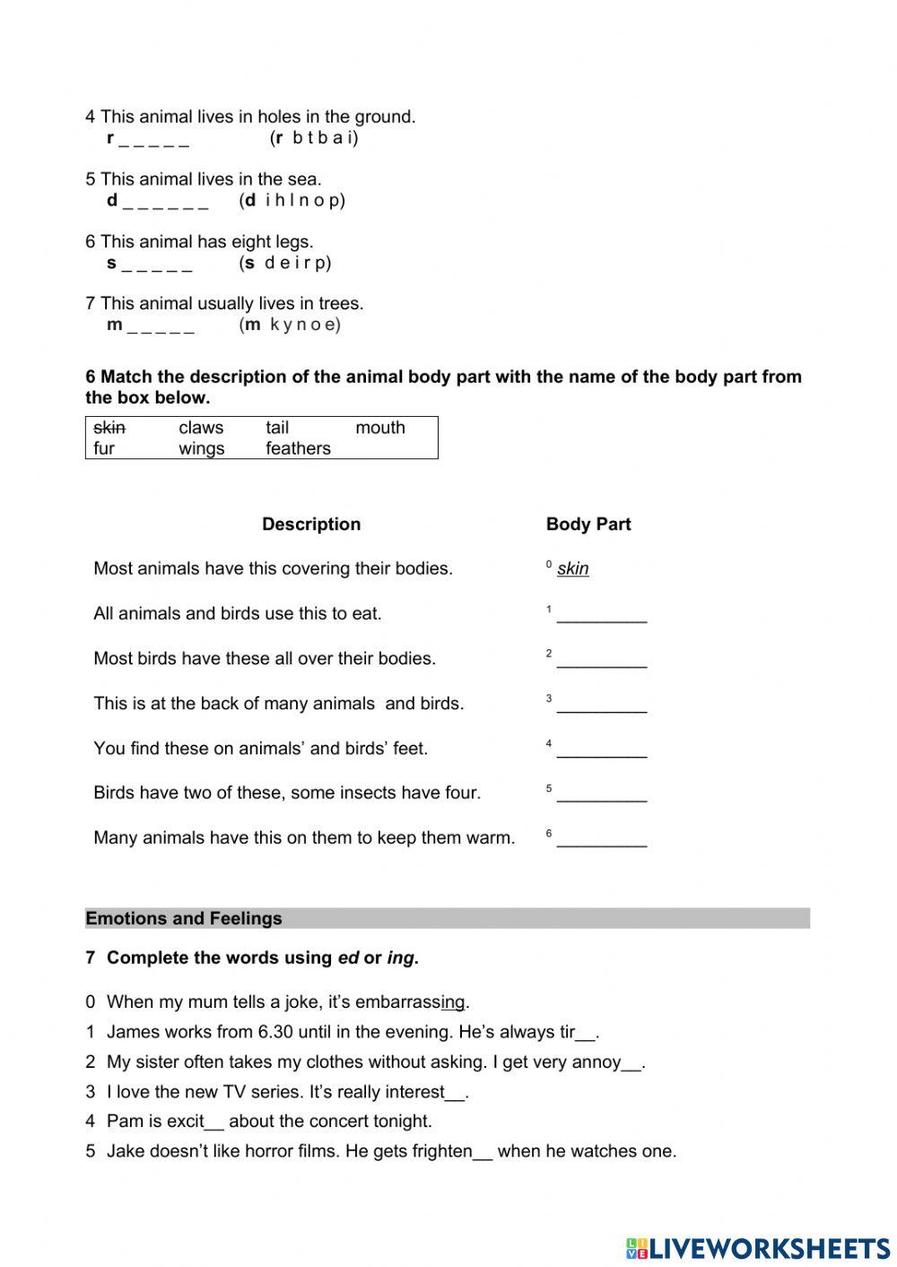 Valentino Mid-Year Test