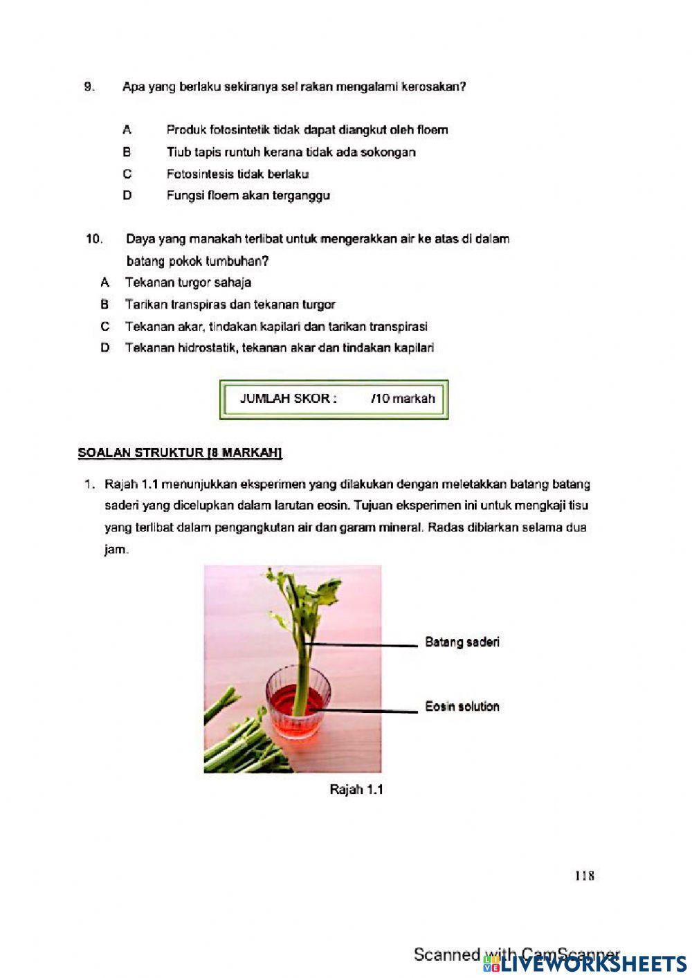 Modul Hebat Edisi 2021 Biologi Tingkatan 5 Bab 4