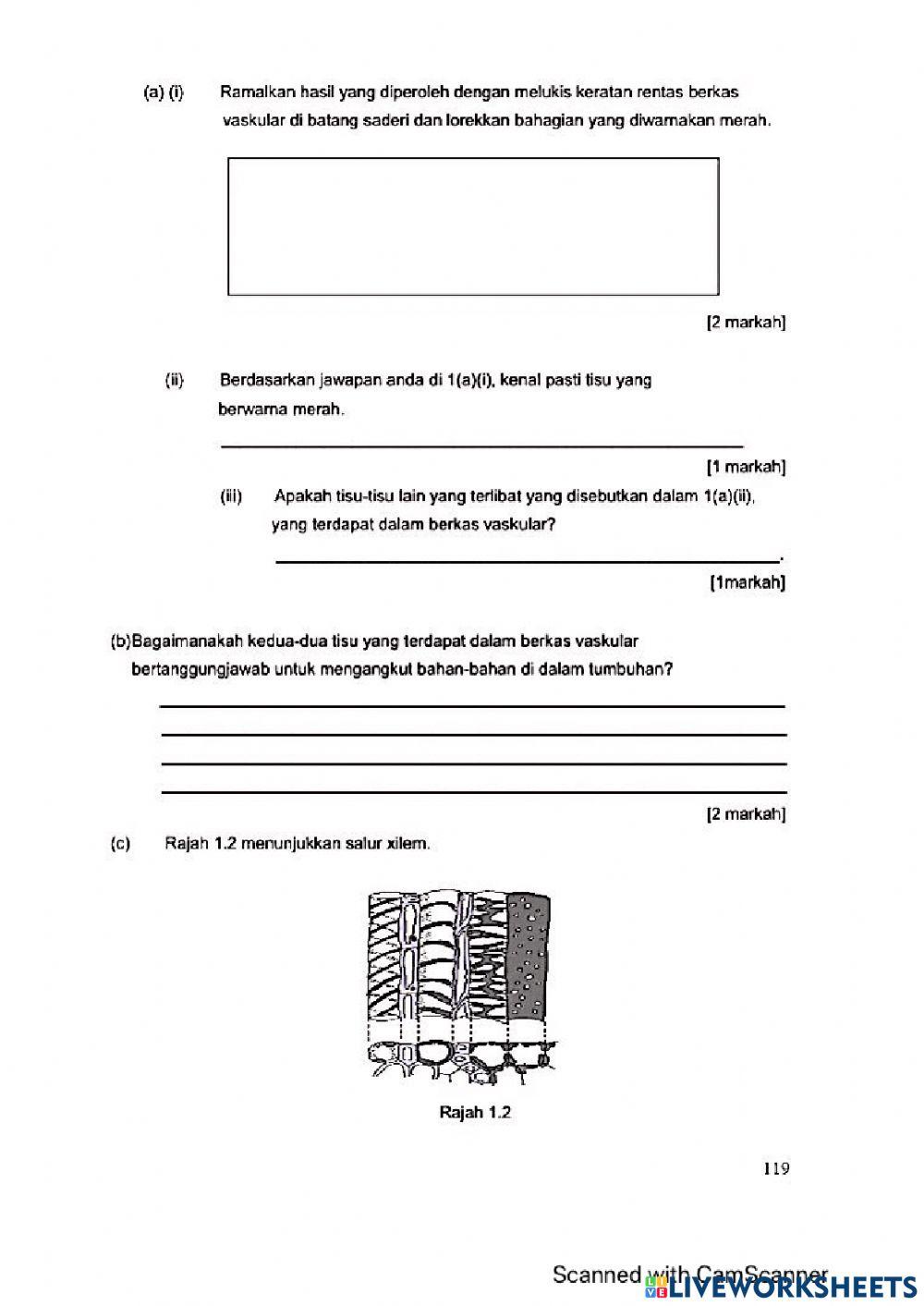 Modul Hebat Edisi 2021 Biologi Tingkatan 5 Bab 4
