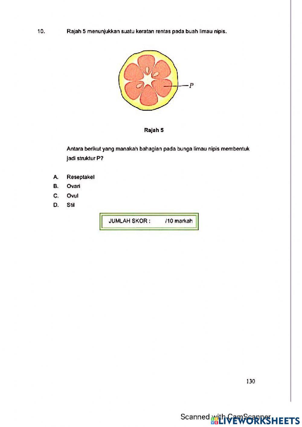 Modul Hebat Edisi 2021 Biologi Tingkatan 5 Bab 6