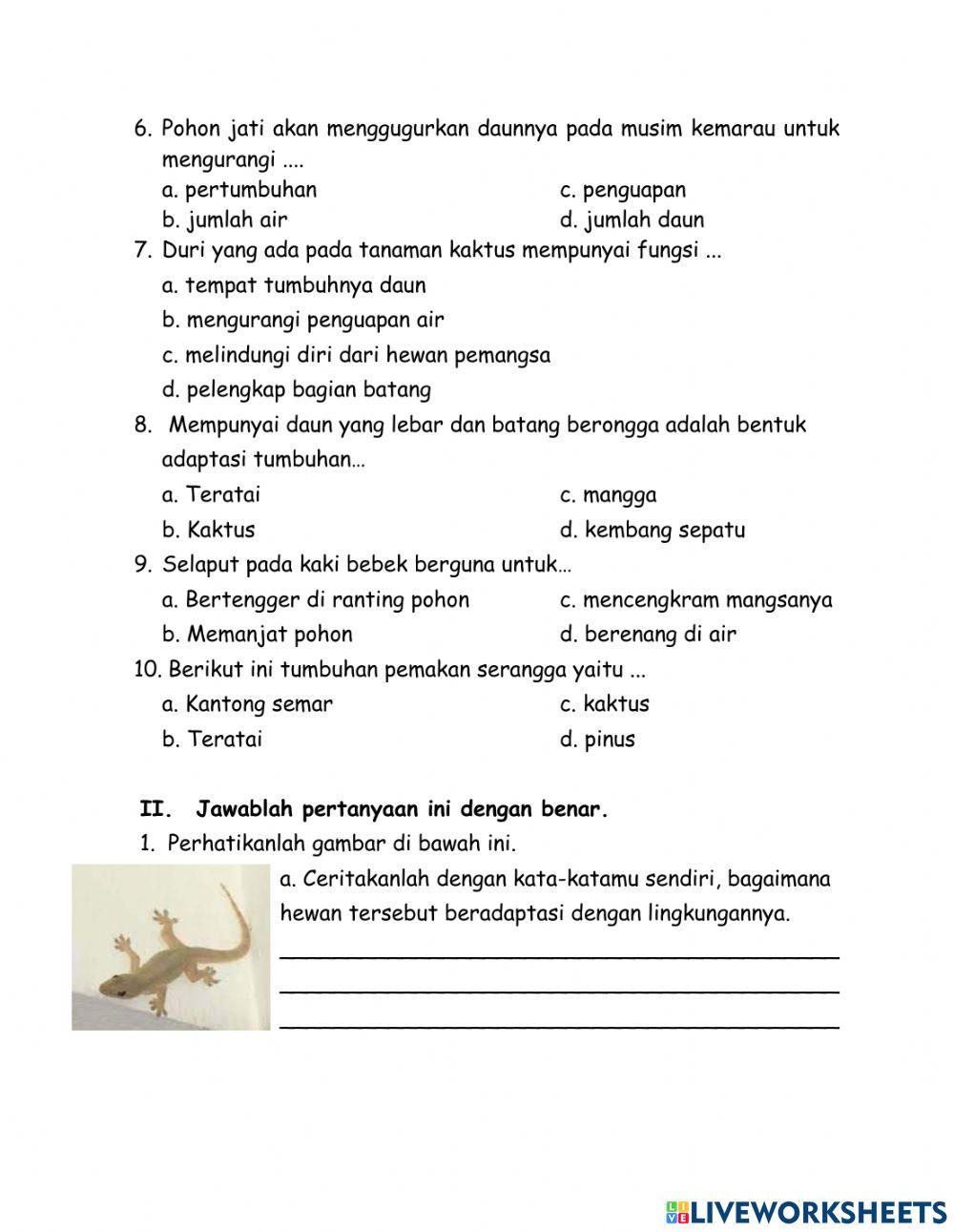 1st final Semester IPA P6