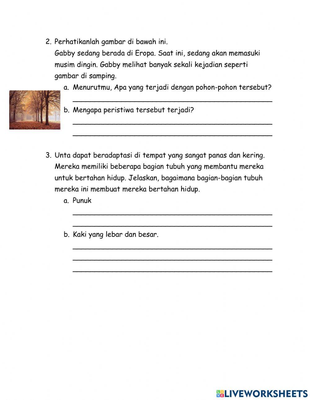 1st final Semester IPA P6