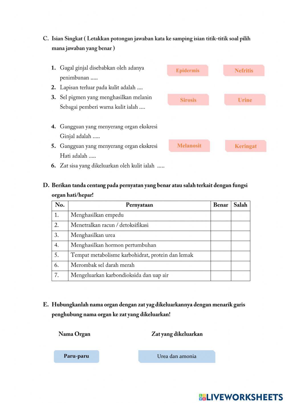 Riri Hendriyani - 19231087 - E-lkpd