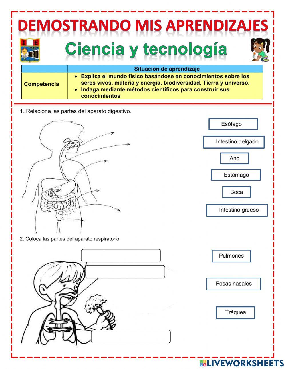 Ciencia y tecnologia