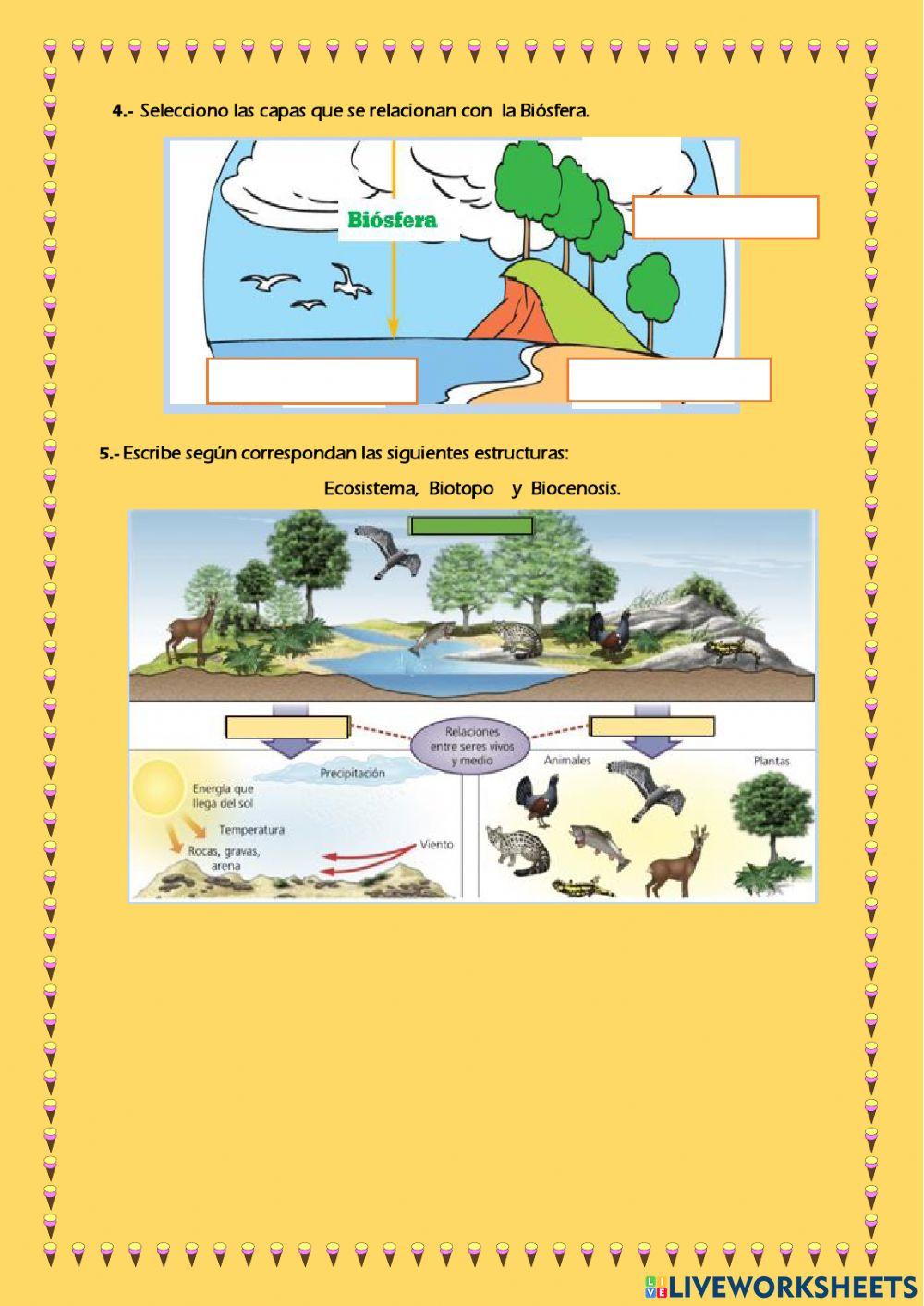 Evalúo mi Aprendizaje