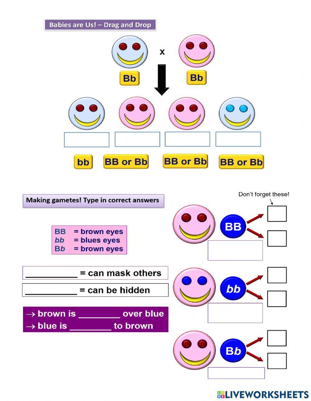 GoBio Patterns of Inheritance