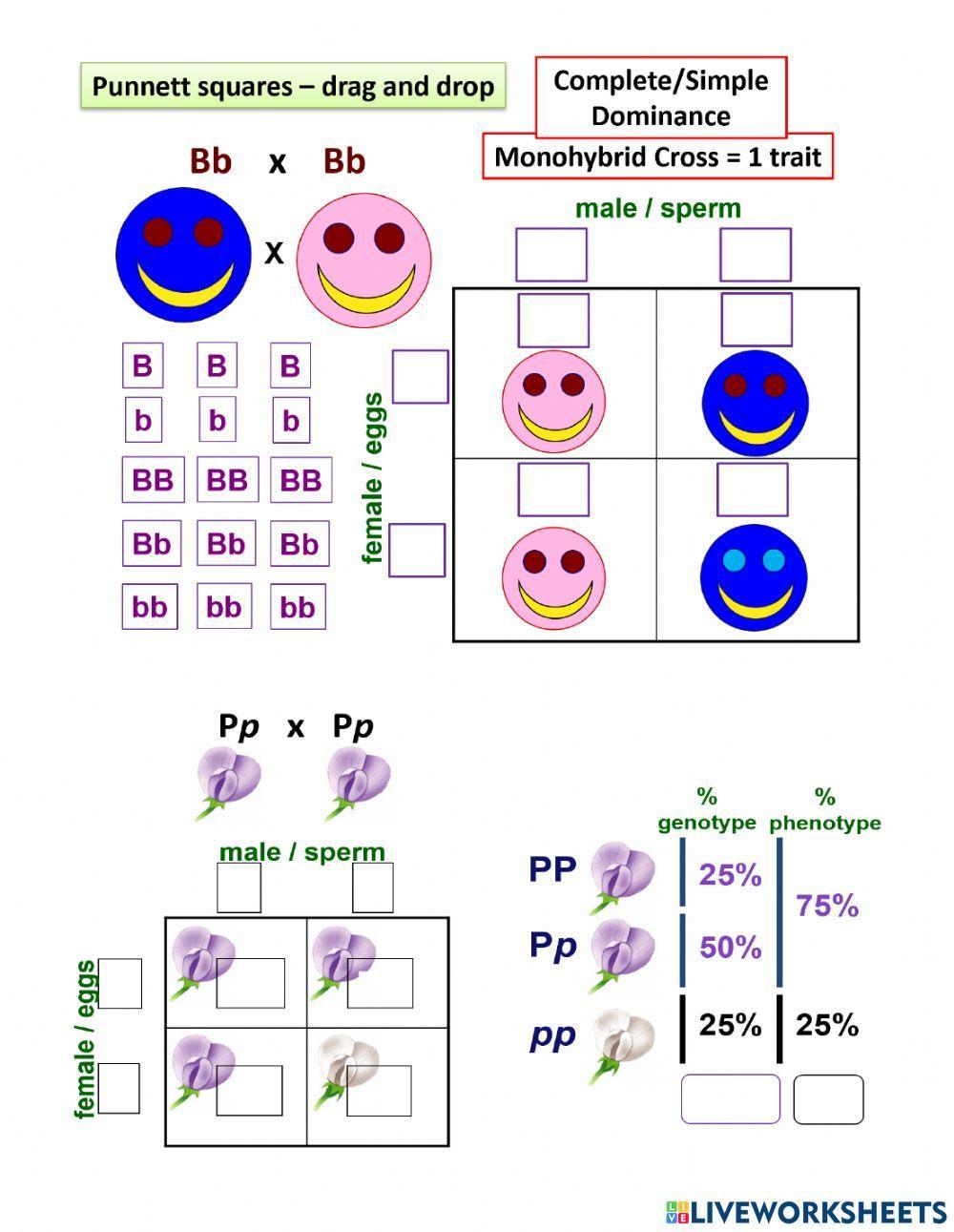 GoBio Patterns of Inheritance