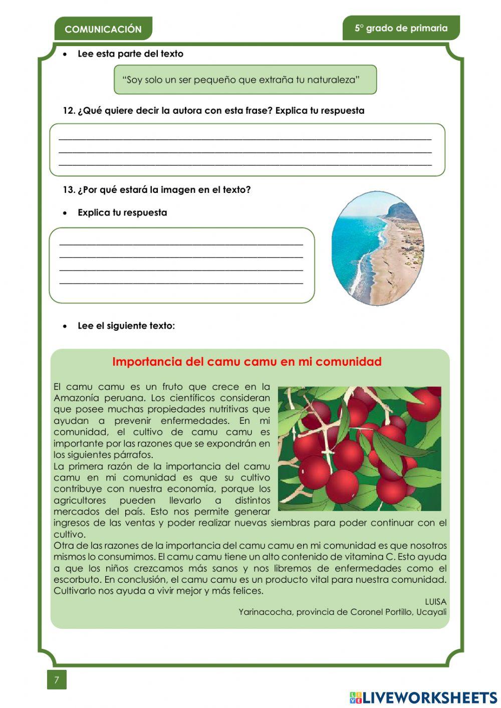 Evaluacion final de comunicacion 5to