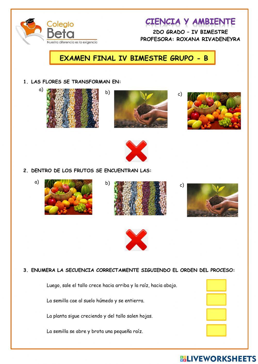 Examen ciencia y tecnología
