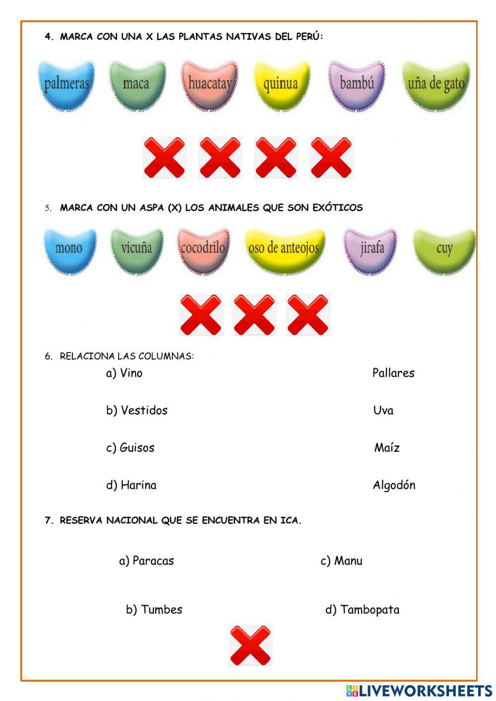Examen ciencia y tecnología
