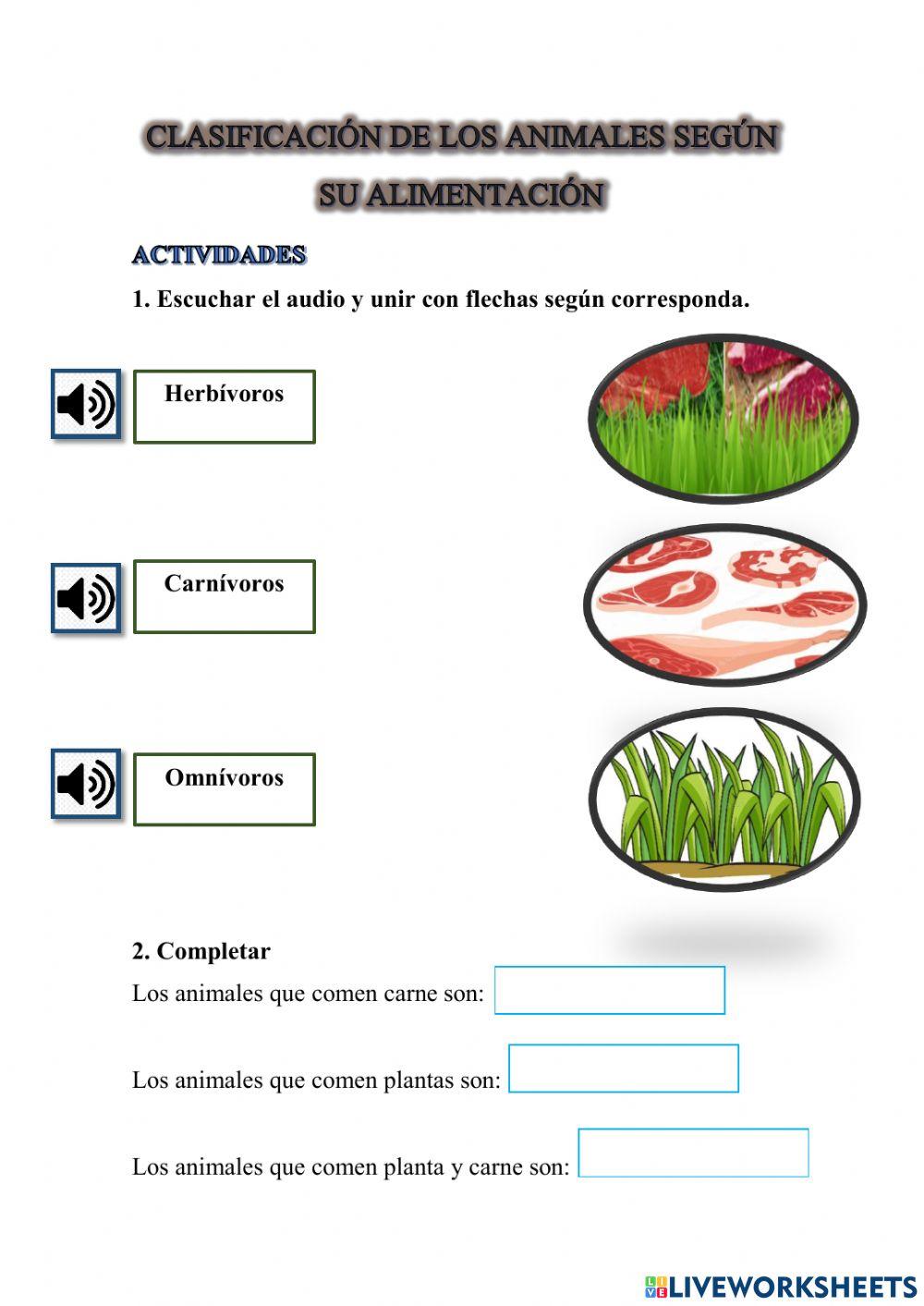 Clasificación de los animales por su alimentación