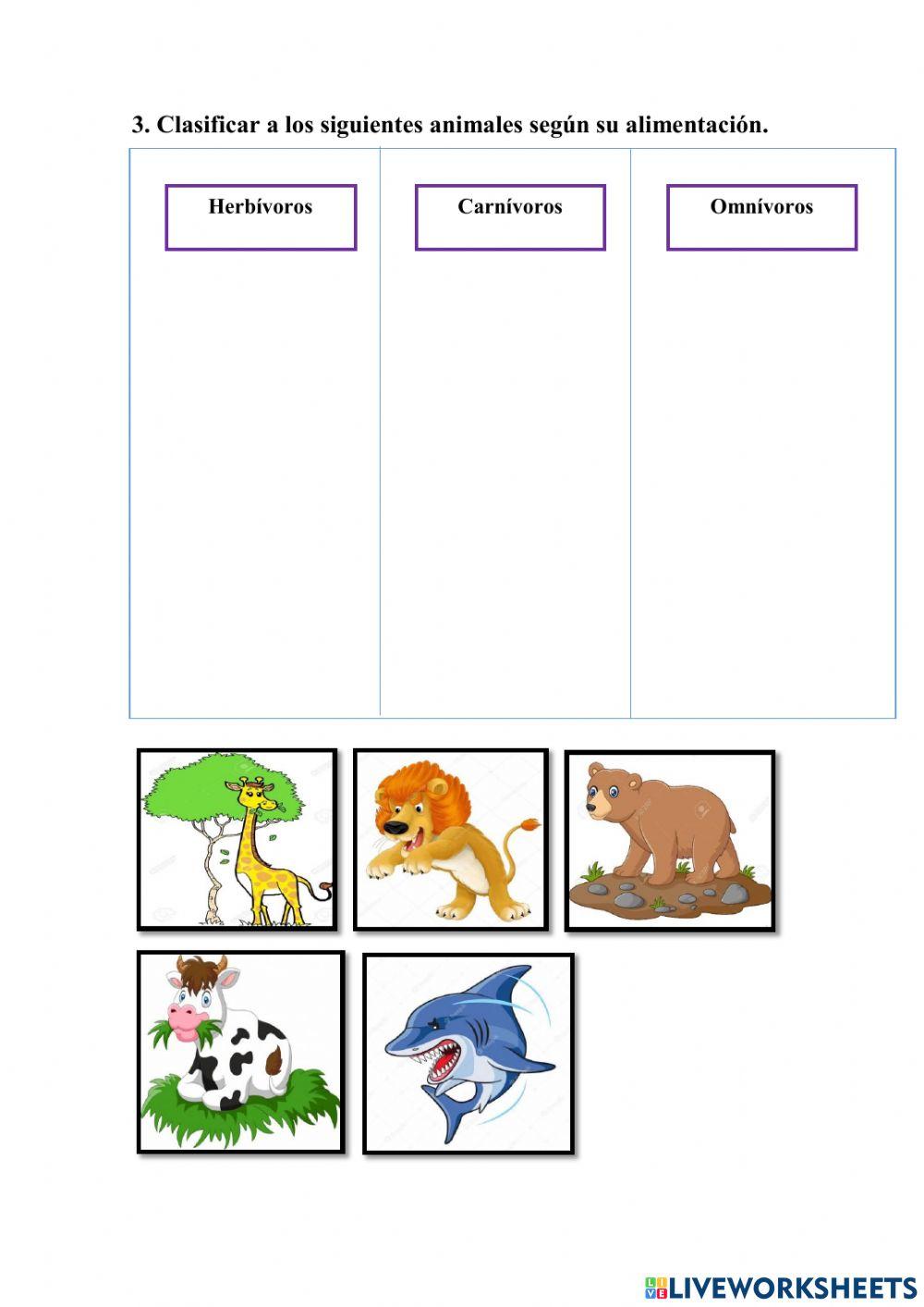Clasificación de los animales por su alimentación
