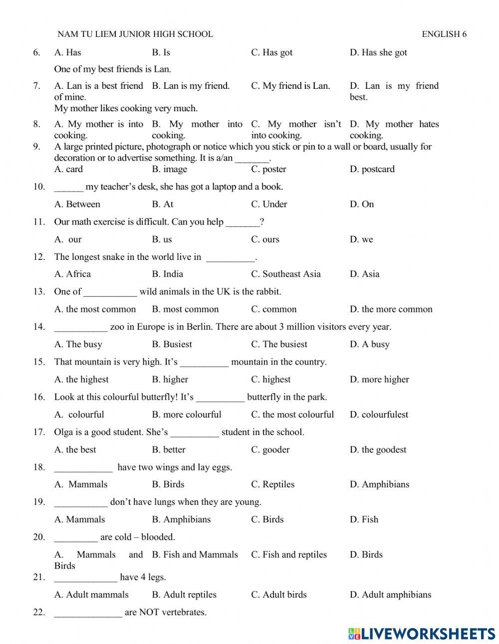 Grade 6Review for the first term test