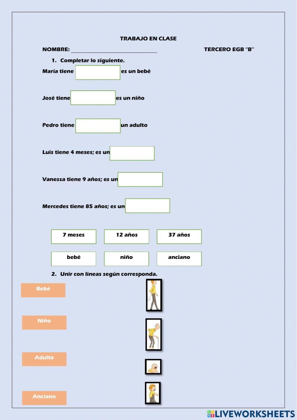 Las etapas y el ciclo de la vida del ser humano
