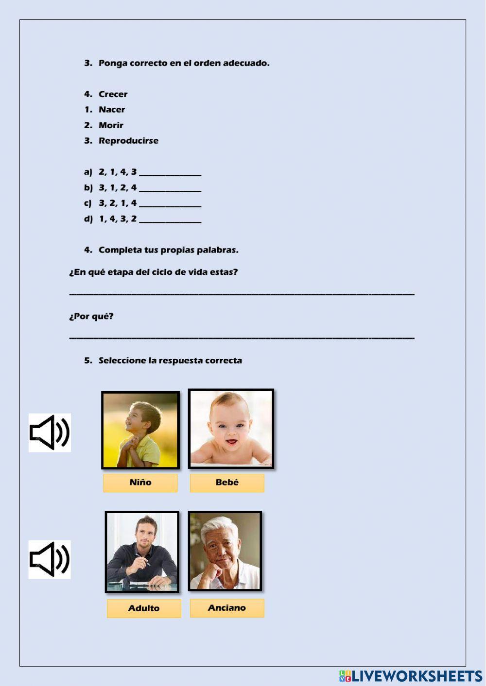 Las etapas y el ciclo de la vida del ser humano