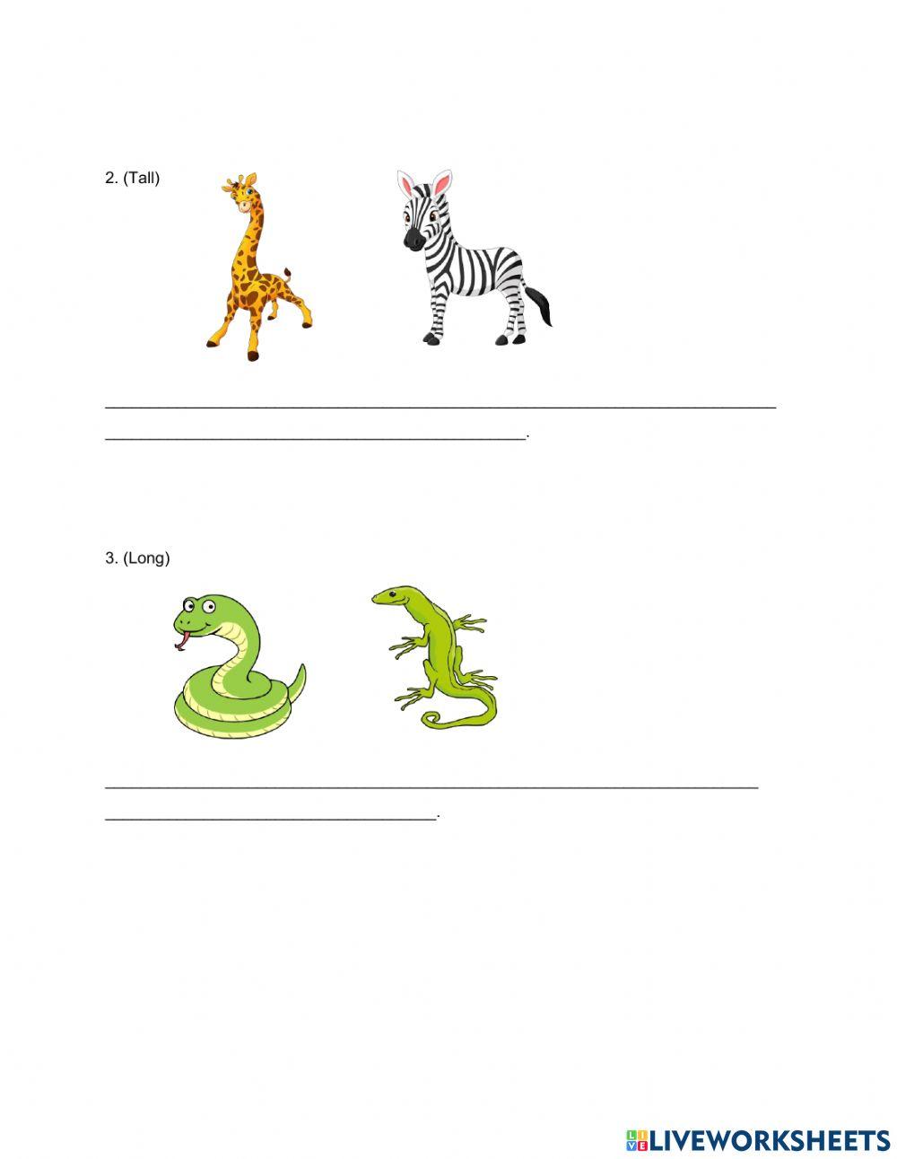 Worksheet Comparative adjective