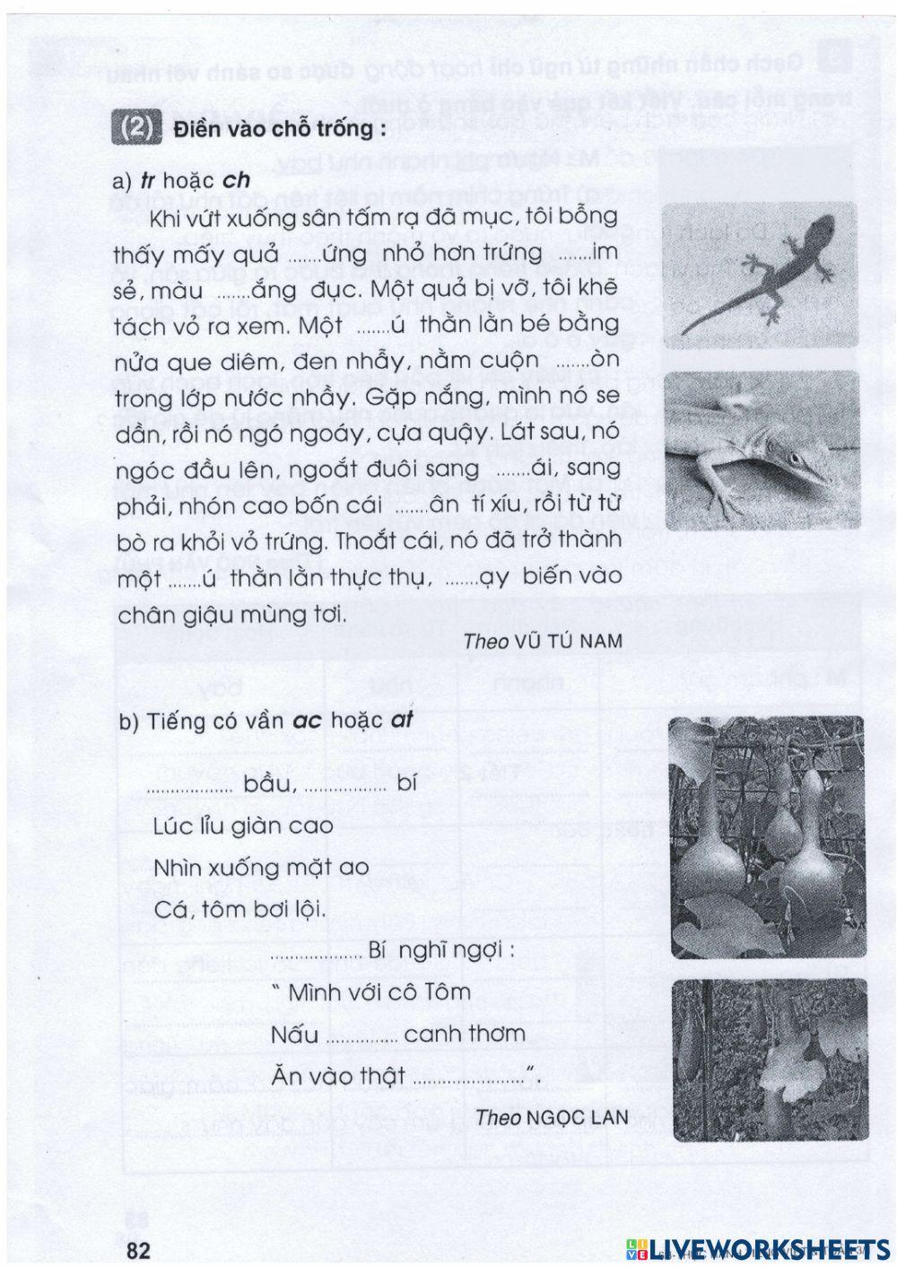 Ôn tập tiếng việt