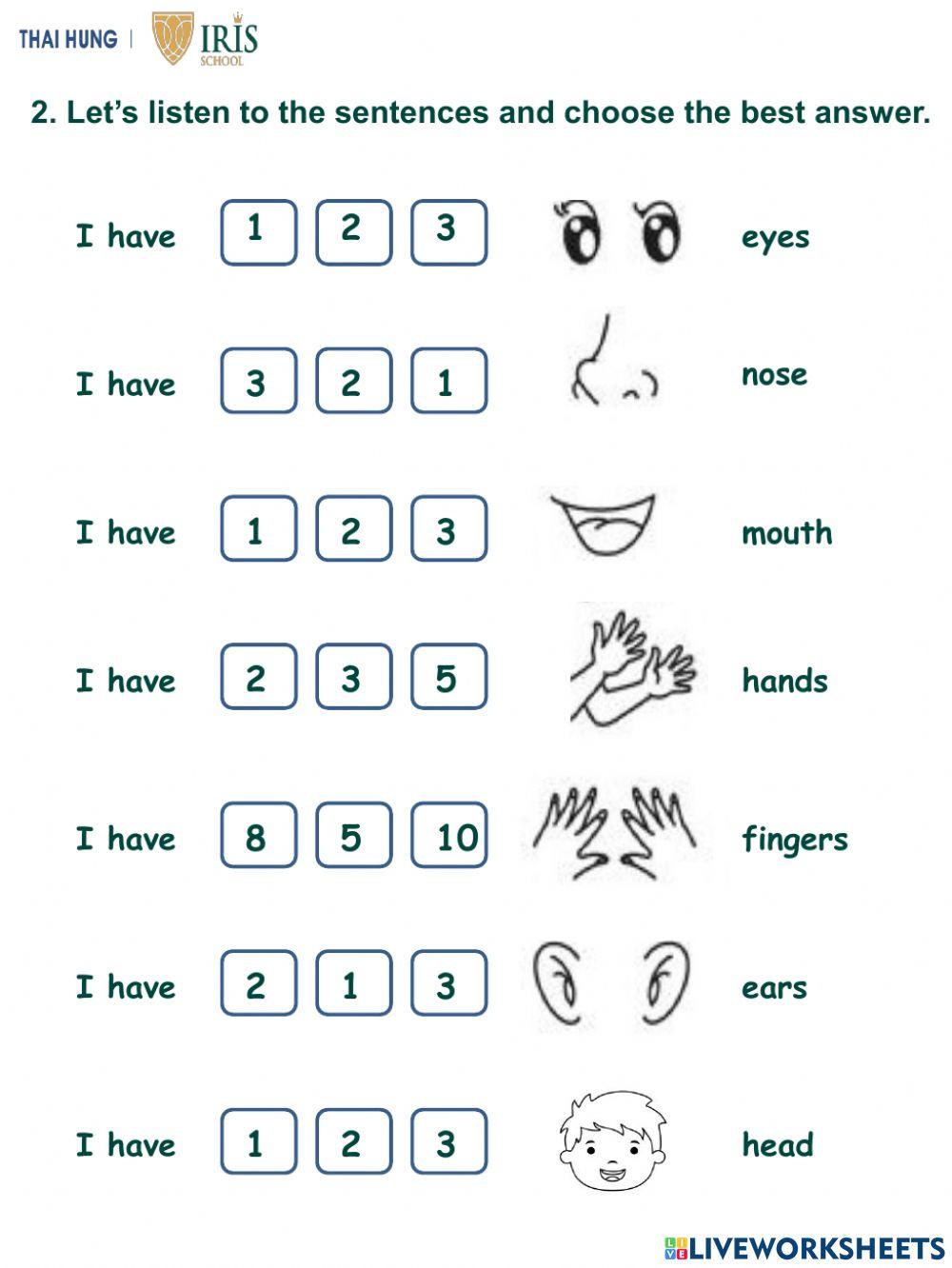 English-Sunny-Worksheet about Body parts 2