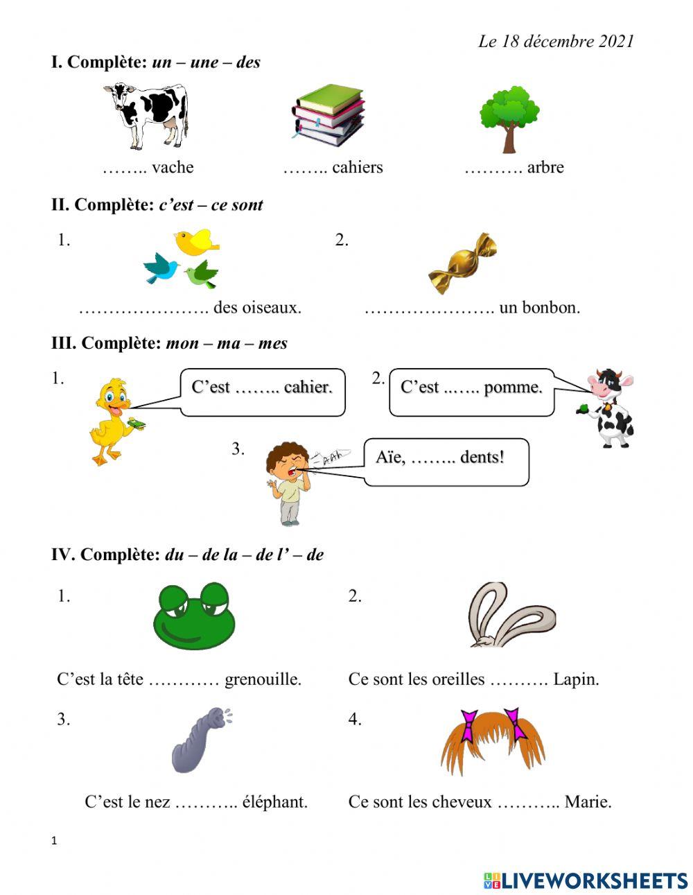 Connaissances de langue