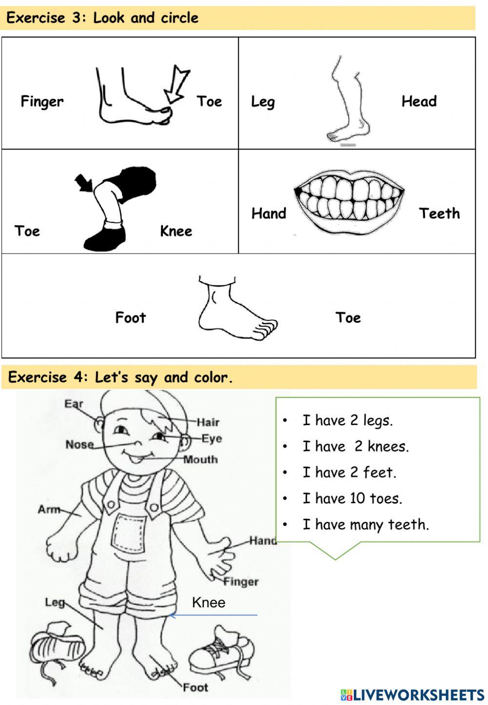 Kiddy 1A1- Body parts- lesson 3
