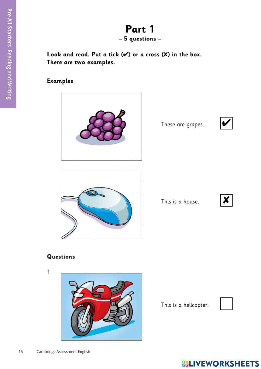 Cambridge Starter Reading and Writing Exam