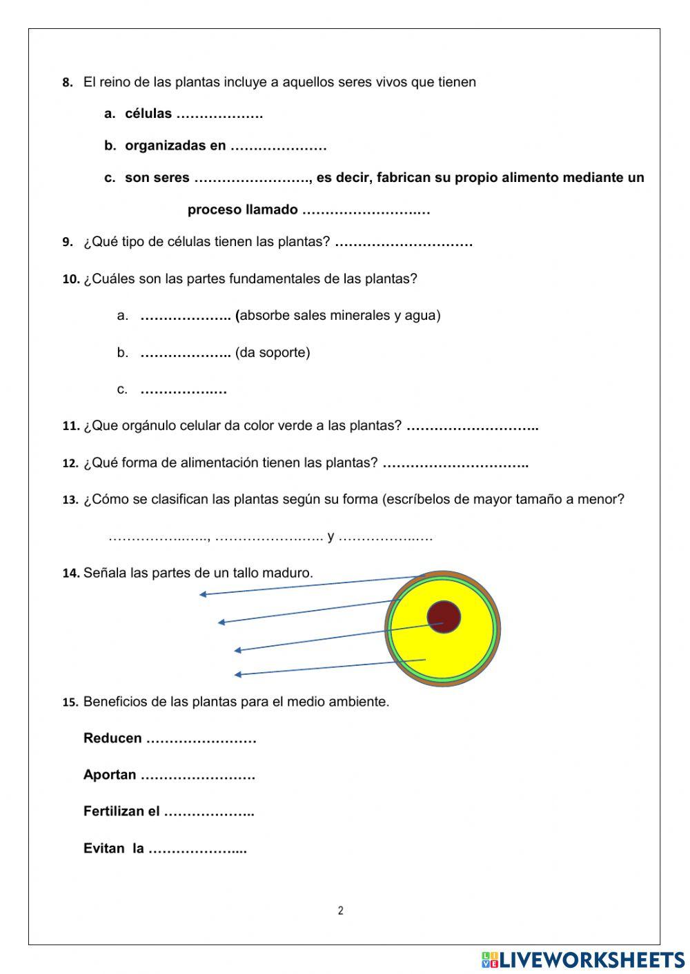 Plantas examen
