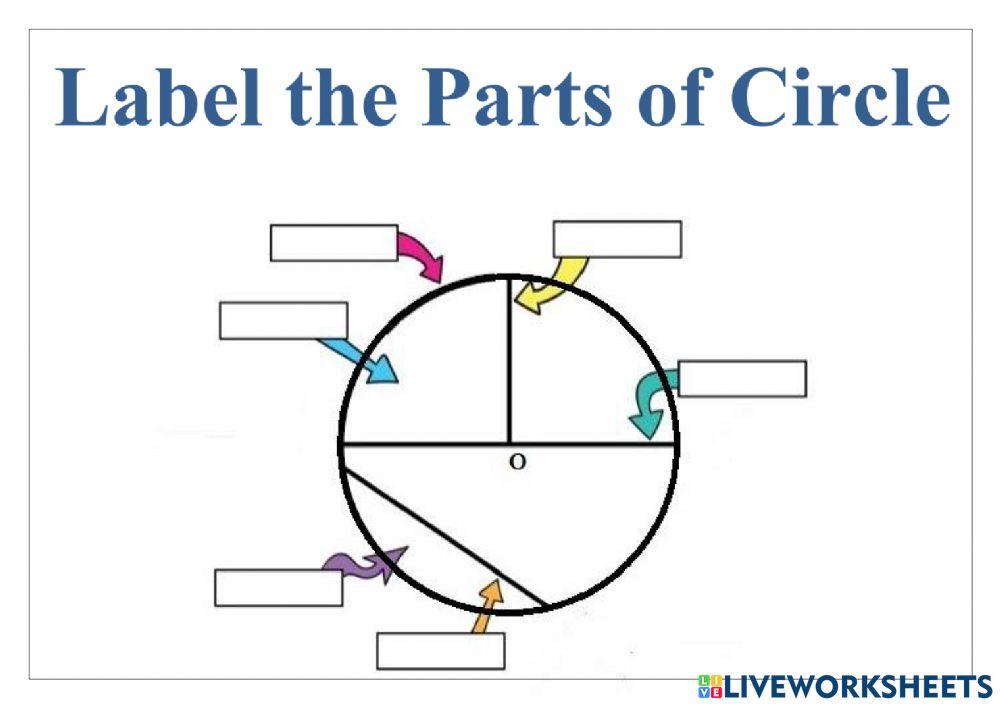 Parts of circle