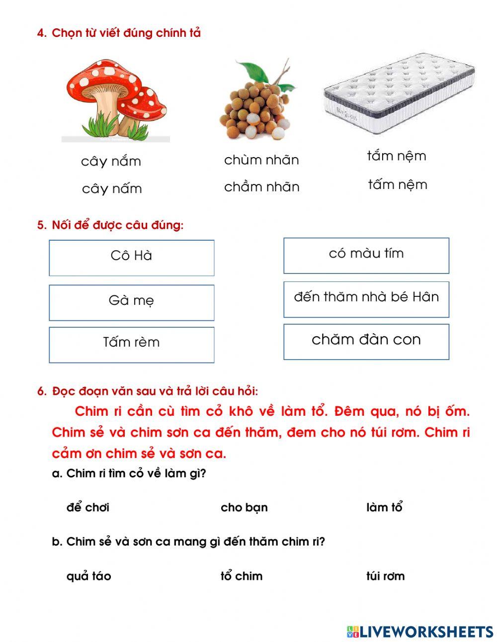 Ôn tập tuần 13