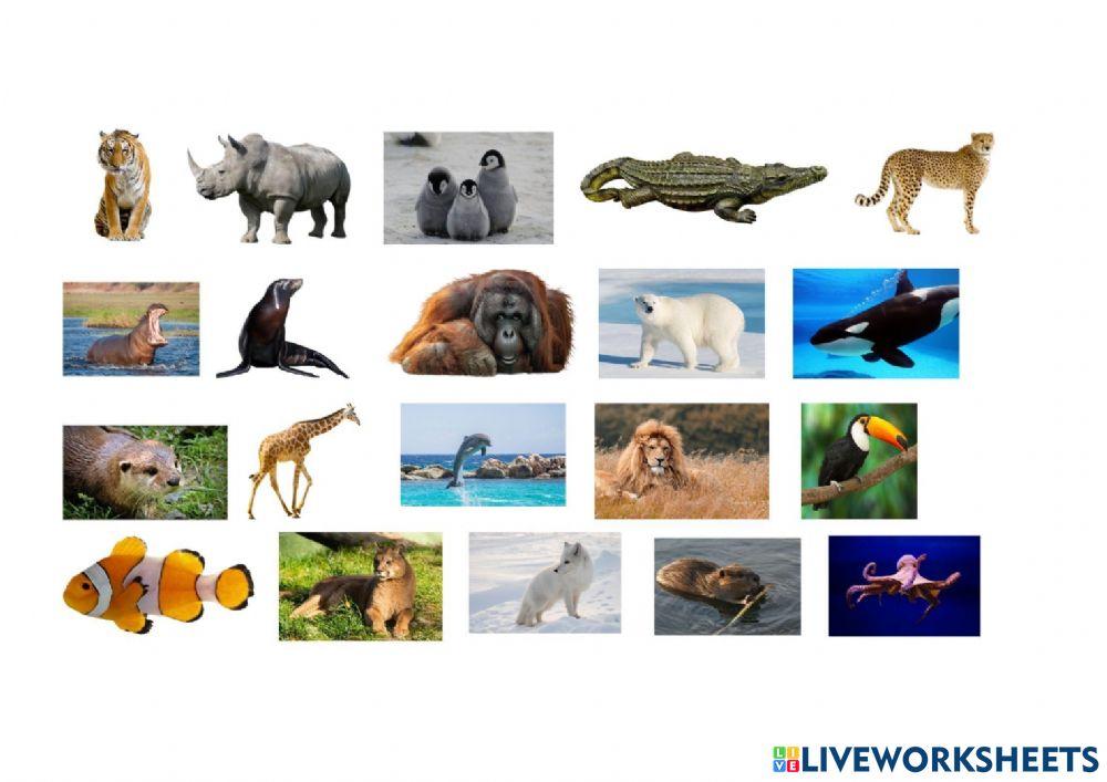 Hábitat animales salvajes