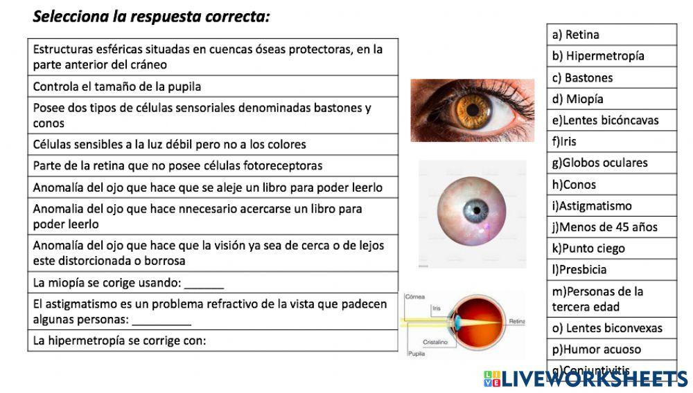 Evaluación formativa del ojo