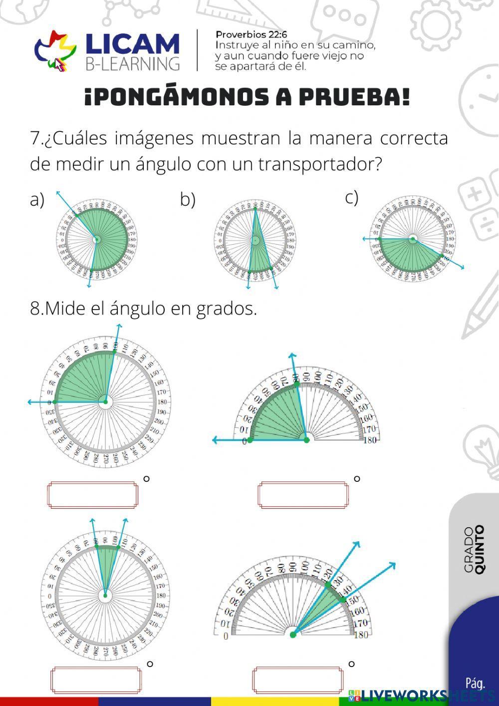 Medición y construcción de ángulos.
